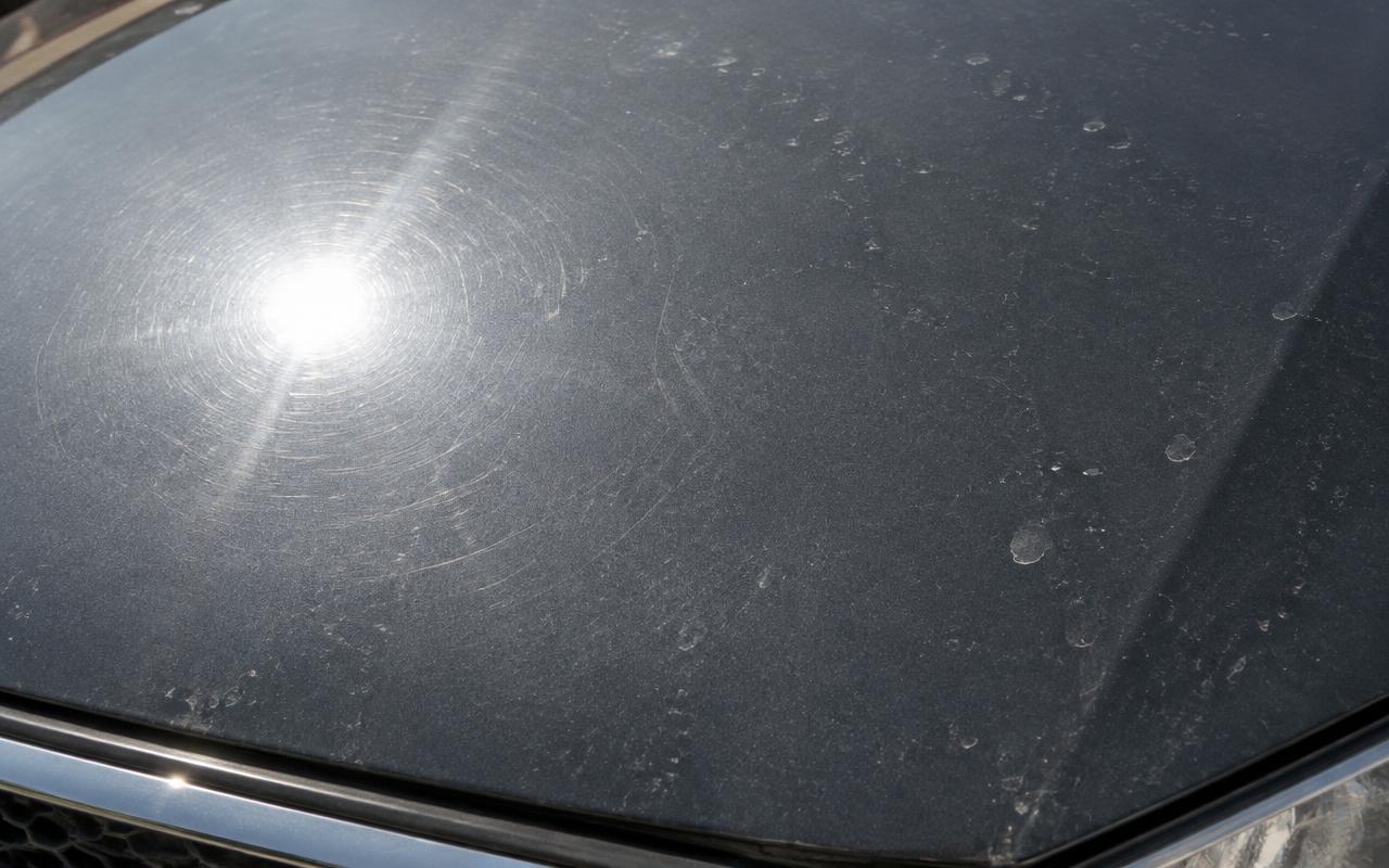 Swirled, dull paint before correction